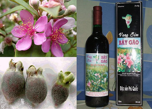 Phú Quốc – Rượu Sim Phú Quốc